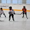 Brandis Juniors - HS Abschlussturnier 27.02.2016