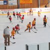 Brandis Juniors - HS Abschlussturnier 25.02.2017